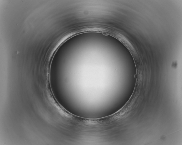 X0000091670852200709061041