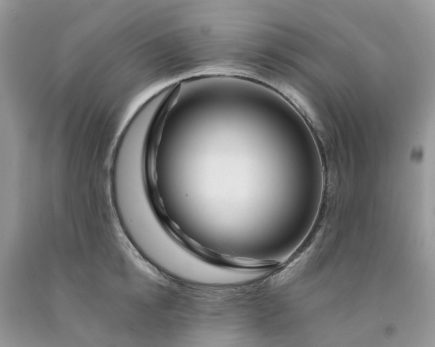 X0000091670854200709061041