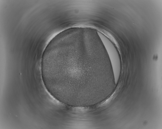 X0000091670855200709061041
