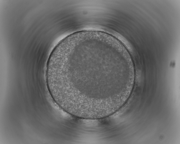 X0000091670856200709061041
