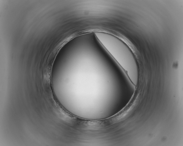 X0000091670857200709061041