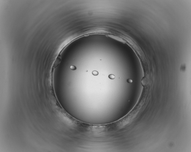 X0000091670858200709061041
