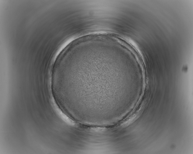 X0000091670859200709061041