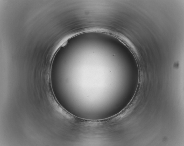 X0000091670860200709061041