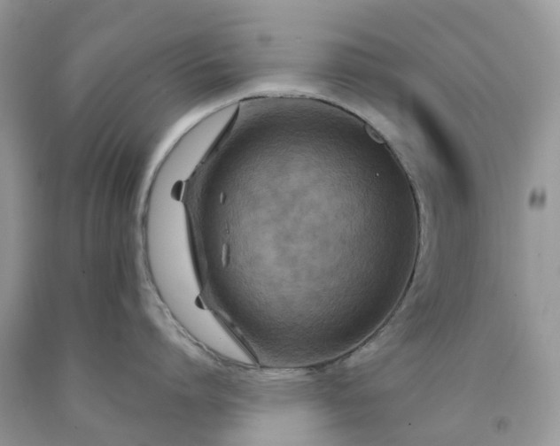X0000091670864200709061041