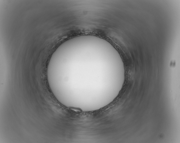 X0000091670865200709061041