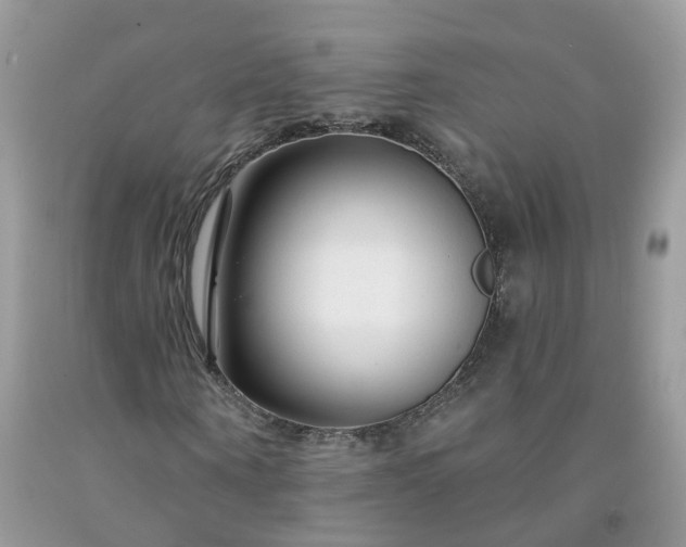 X0000091670866200709061041