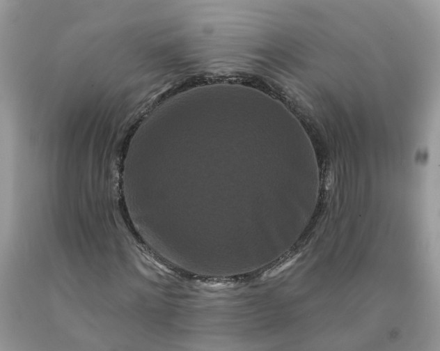 X0000091670868200709061041