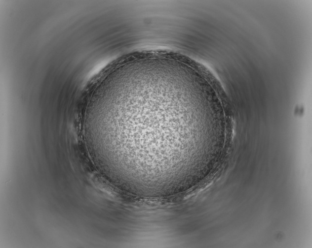 X0000091670871200709061041