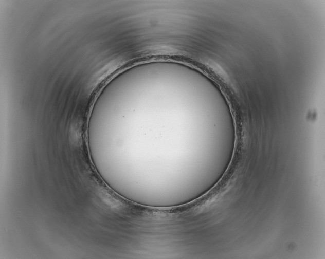 X0000091670873200709061040
