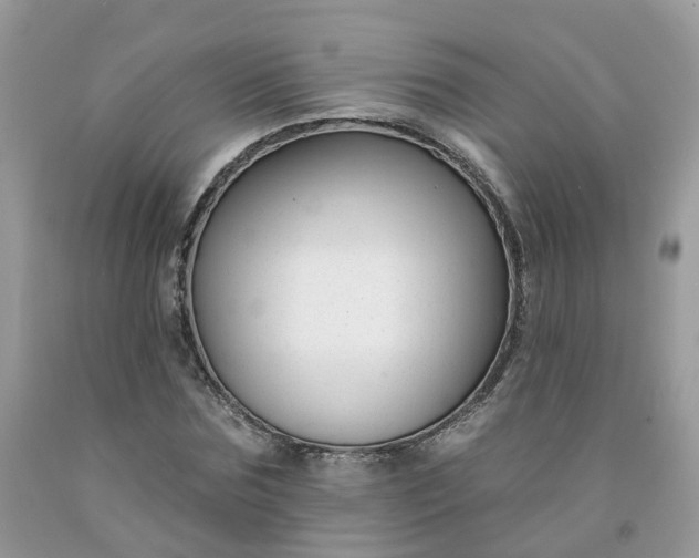 X0000091670875200709061040