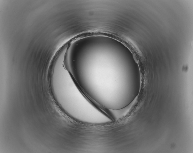 X0000091670876200709061040