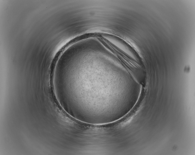 X0000091670877200709061040