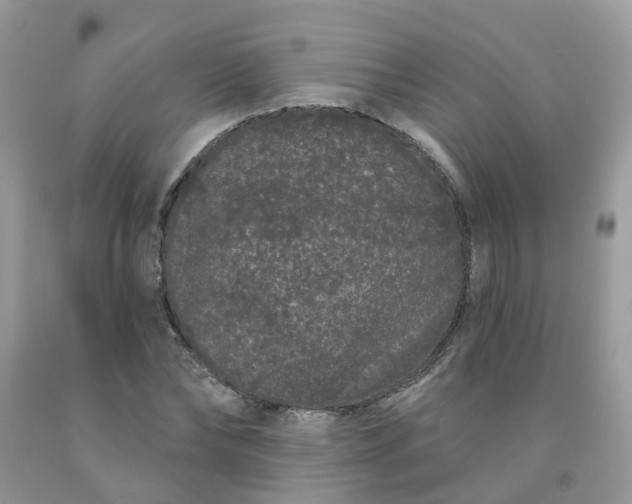 X0000091670878200709061040