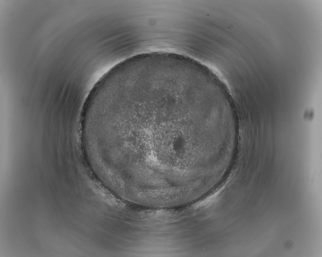 X0000091670879200709061040