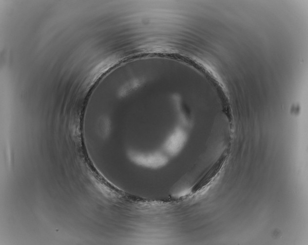 X0000091670881200709061040