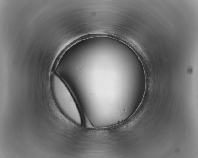 X0000091670884200709061040
