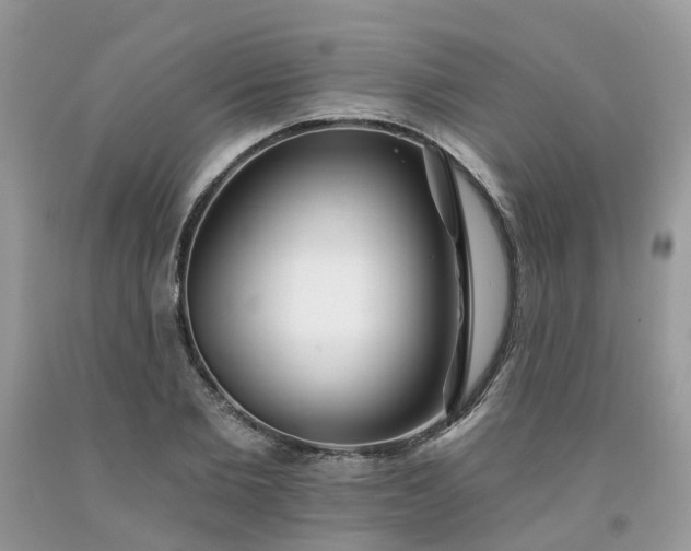 X0000091670885200709061040