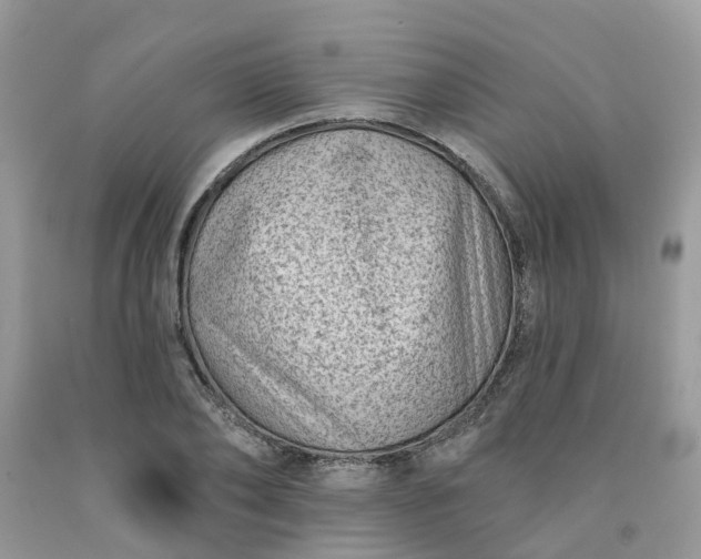 X0000091670886200709061040
