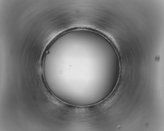 X0000091670887200709061040