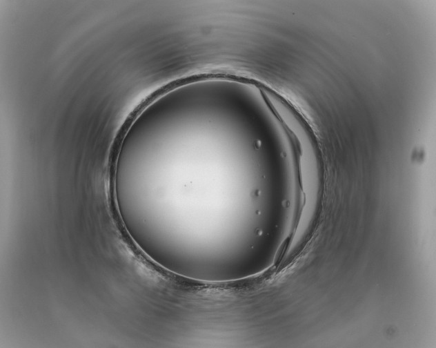 X0000091670888200709061040