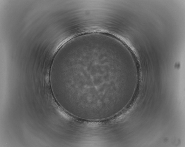 X0000091670889200709061040