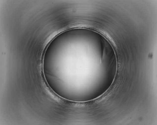 X0000091670890200709061040