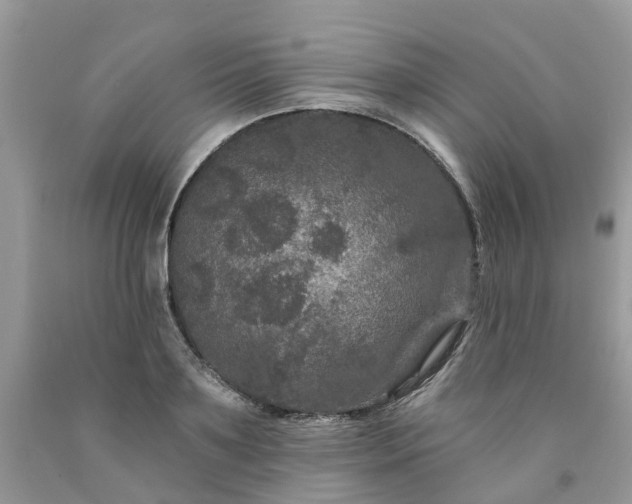 X0000091670891200709061040