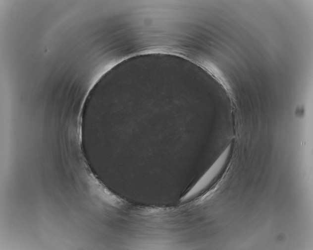 X0000091670892200709061040