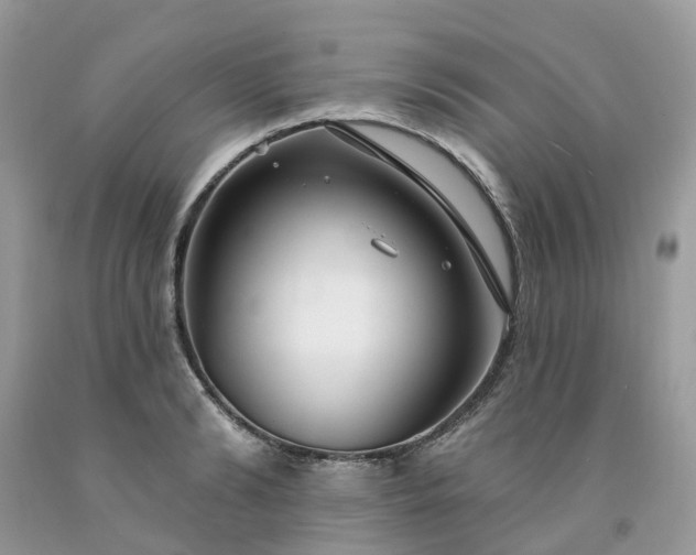 X0000091670894200709061040