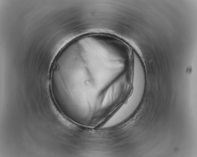 X0000091670895200709061040
