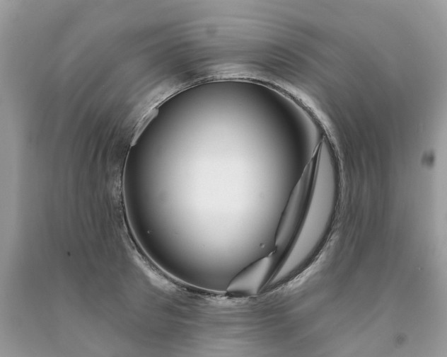 X0000091670897200709061040