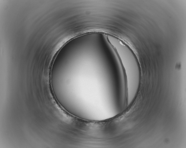 X0000091670898200709061040
