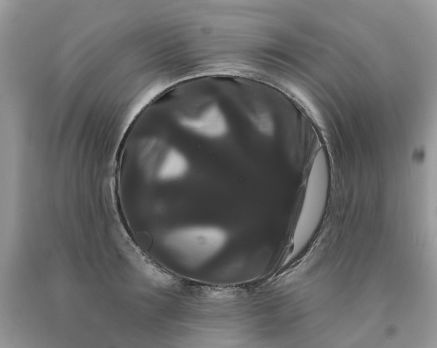 X0000091670899200709061040