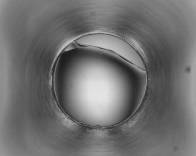 X0000091670900200709061040
