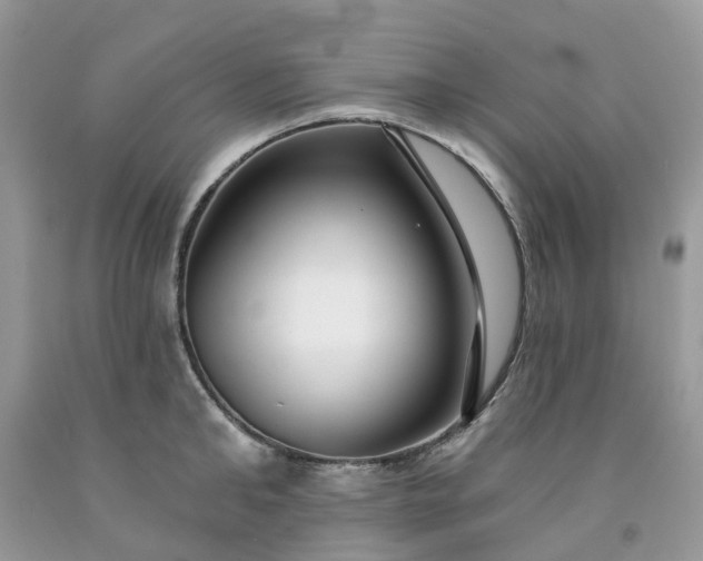 X0000091670902200709061040