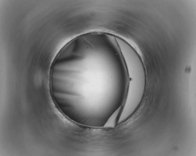 X0000091670903200709061040
