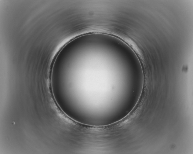 X0000091670904200709061040