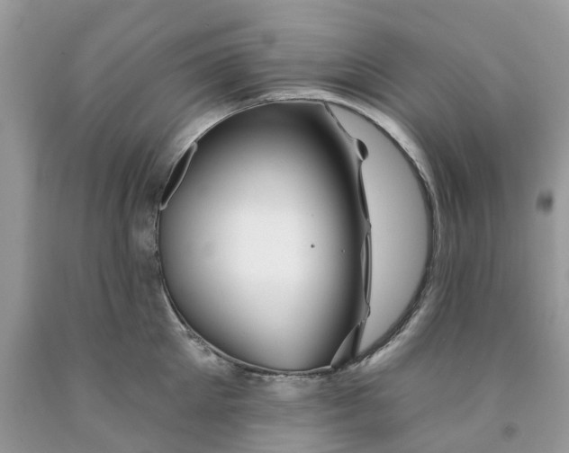 X0000091670905200709061040
