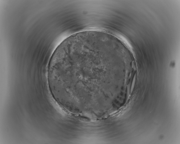 X0000091670907200709061040