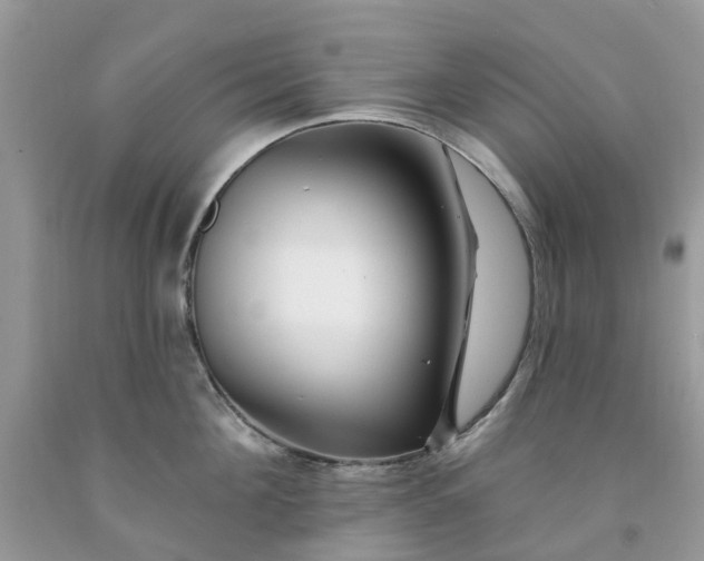 X0000091670908200709061040