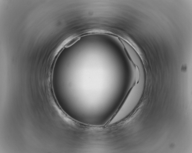 X0000091670909200709061040