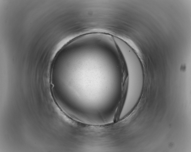 X0000091670910200709061040