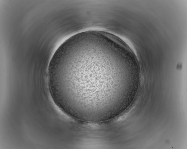 X0000091670911200709061040