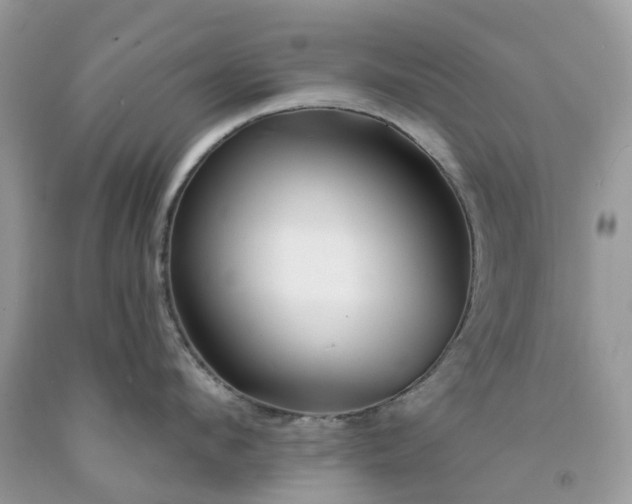 X0000091670912200709061040