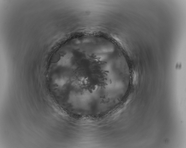 X0000091670913200709061039