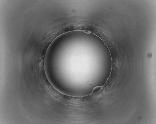 X0000091670914200709061039