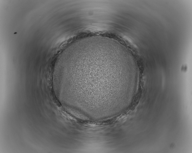 X0000091670917200709061039
