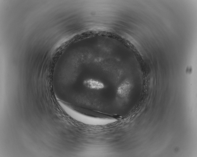 X0000091670919200709061039