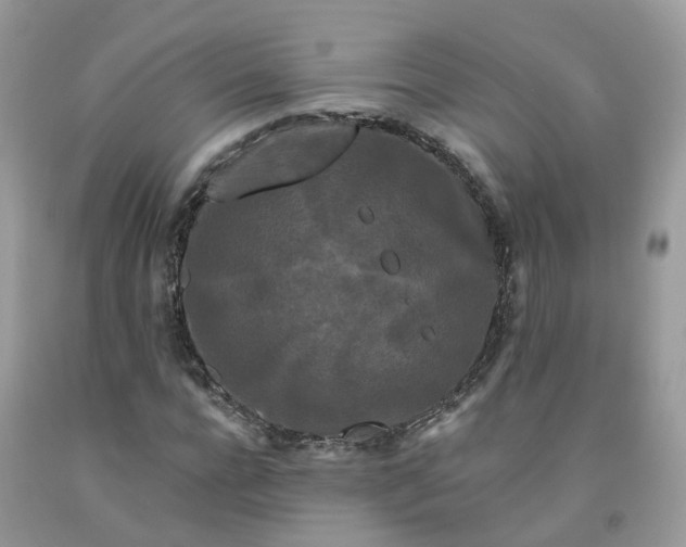 X0000091670920200709061039